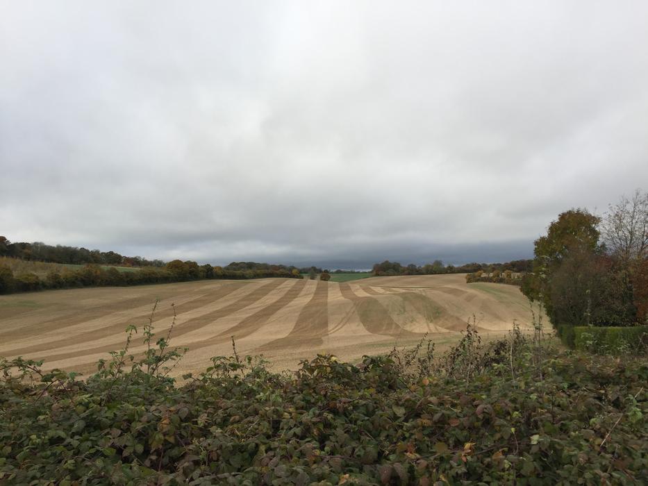 West Meon Field