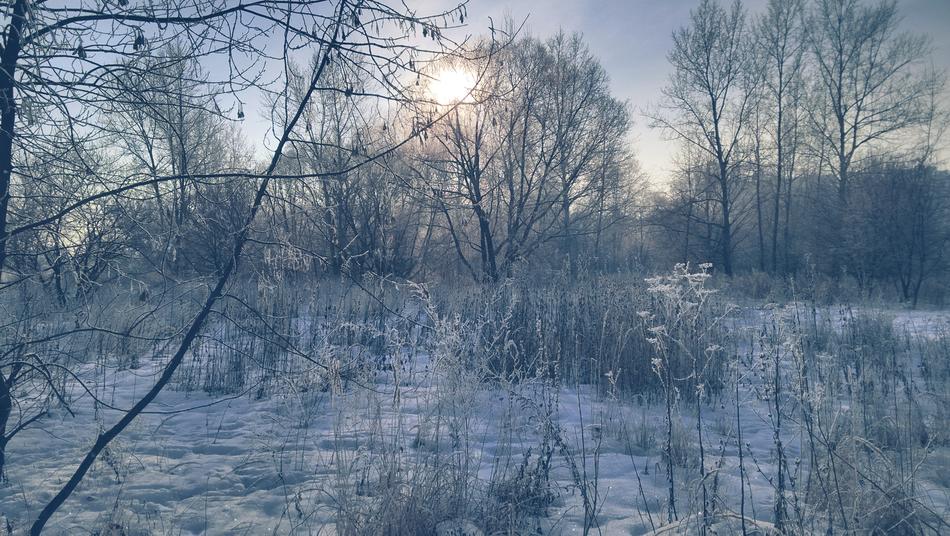 Winter Snow D