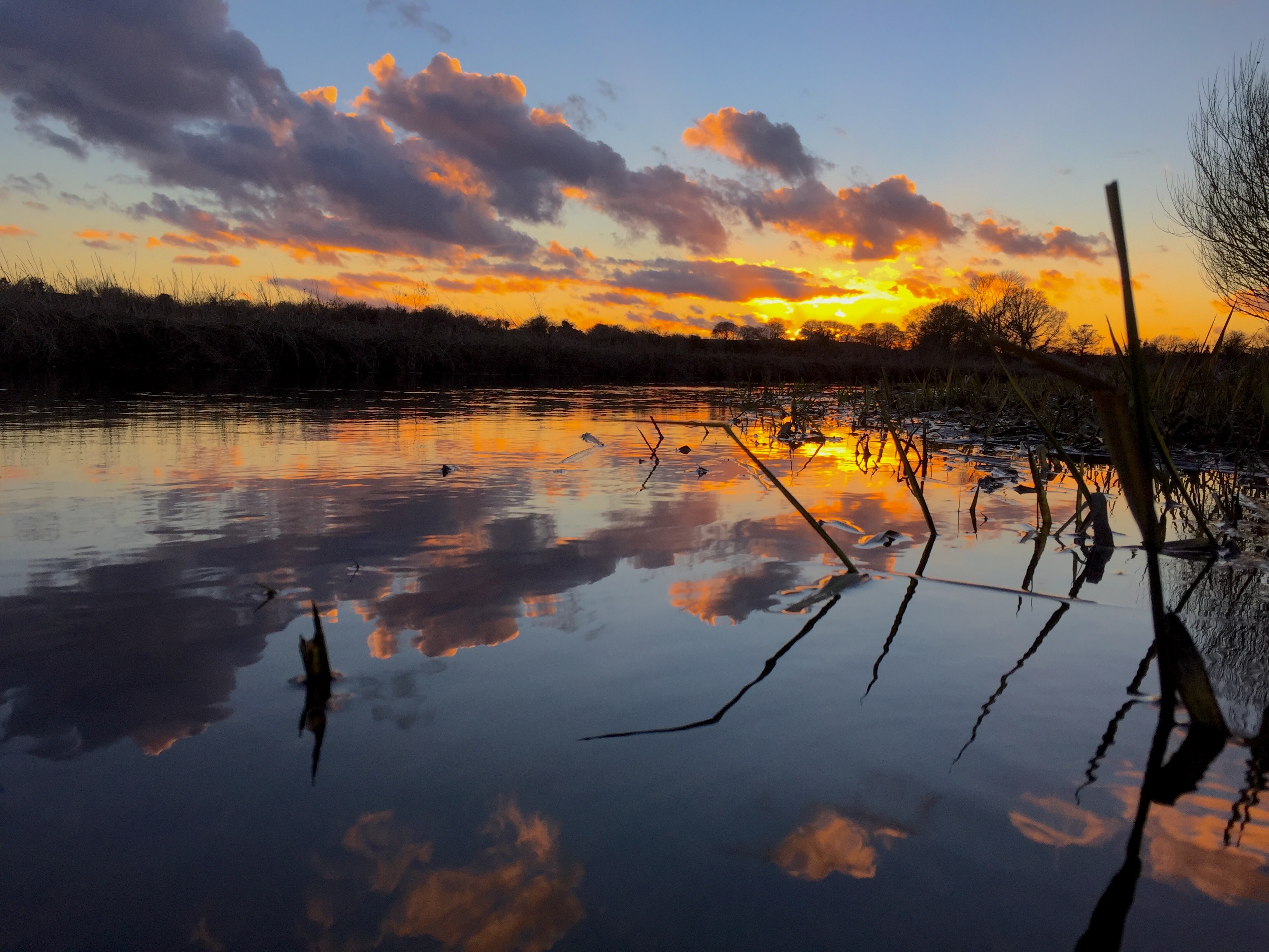 Fishing Hickling Broad free image download