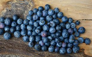 Blueberries Berries Fruit