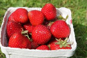 ripe strawberries in a basket