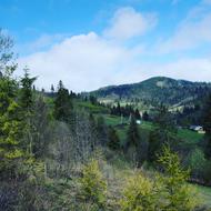 Efi Sun view