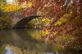 Bridge Nyc River