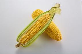 Whole Grains Corn