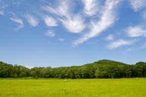 Sky Cloud Blue