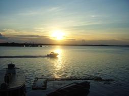 Maues Amazonas