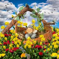 Good Night Sleep Dwarf
