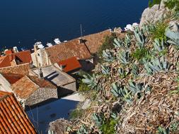 fabulous Croatia Sea