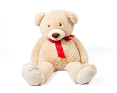 cute bear with a bow around his neck