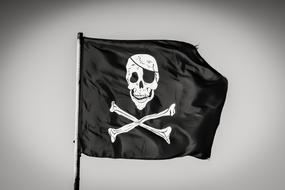 The pirate black flag