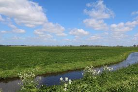 green field by the river