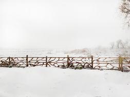 Snow Header The