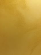 Yellow Wall Warm