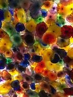 Chihuly Pattern Colors