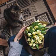 photo of a domestic cat and a bouquet of yellow tulips