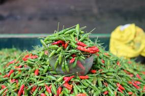 Pepper Fair