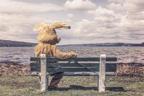 Rabbit Costume