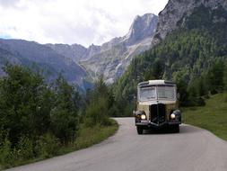an old bus on the way against the background of trees