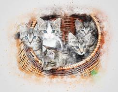 basket kitten art abstract drawing