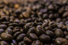 coffee roasted beans