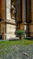 dead Pigeon on pavement at cathedral, Italy, Rome