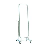 metal mirror frame