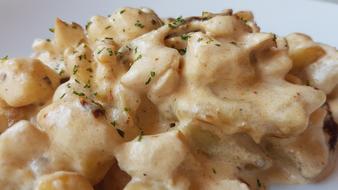 delicious pasta with cheese sauce