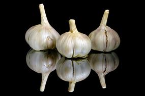 three white garlic on a black background