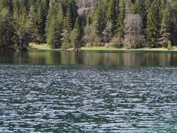 Fernsteinsee Water Green