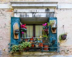 Architecture old Window Flowers