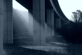 sunny morning light between the pillars of the bridge