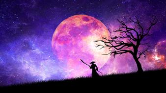 samurai moon cosmos sword ninja