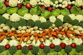 wall of ripe healthy vegetables