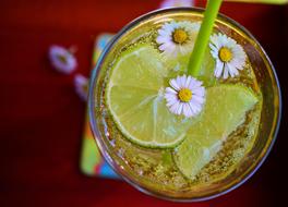 Lime Erfrischungsgetränk Detox