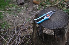 garden shears on the stump