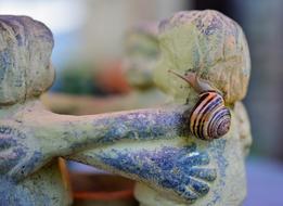 Snail Tape Worm Shell