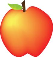 ripe apple drawing