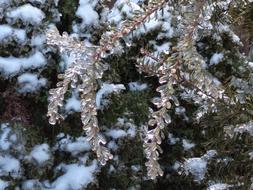 Freezing Rain Winter Ice