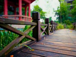 Park Bridge