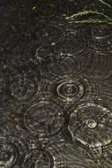 Water Wave Small River The
