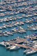Summer Sea Sailboats