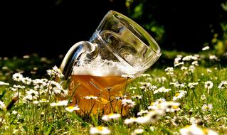 curved beer glass