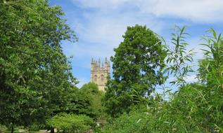 view of the castle tower against a background of trees