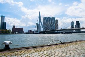 Photo of the promenade and bridge in Rotterdam, Netherlands