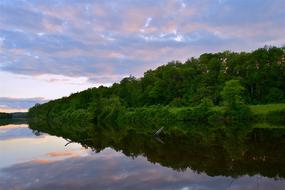 beautiful landscape with trees