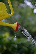 Pot Yellow Water