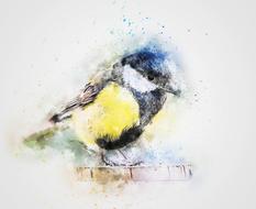 colorful feathers chickadee bird art