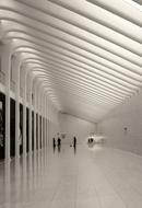 Path Tunnel