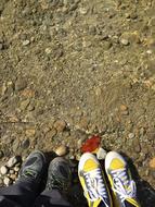 Kortright Conservation Centre Park