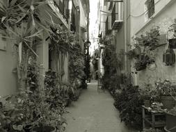 Alicante Villajoyosa Street